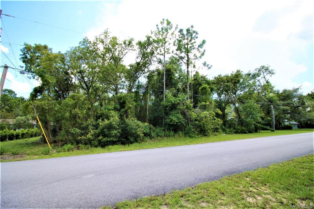 home for sale at 1634 E Cleveland Street, Hernando, FL 34442 in Citrus Hills - Presidential Estates