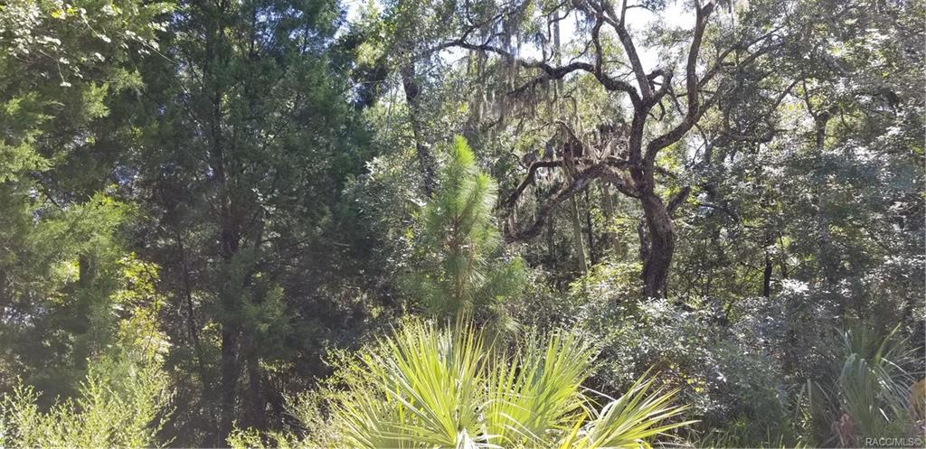 home for sale at 10240 W Ozello Trail, Crystal River, FL 34429 in Citrus County
