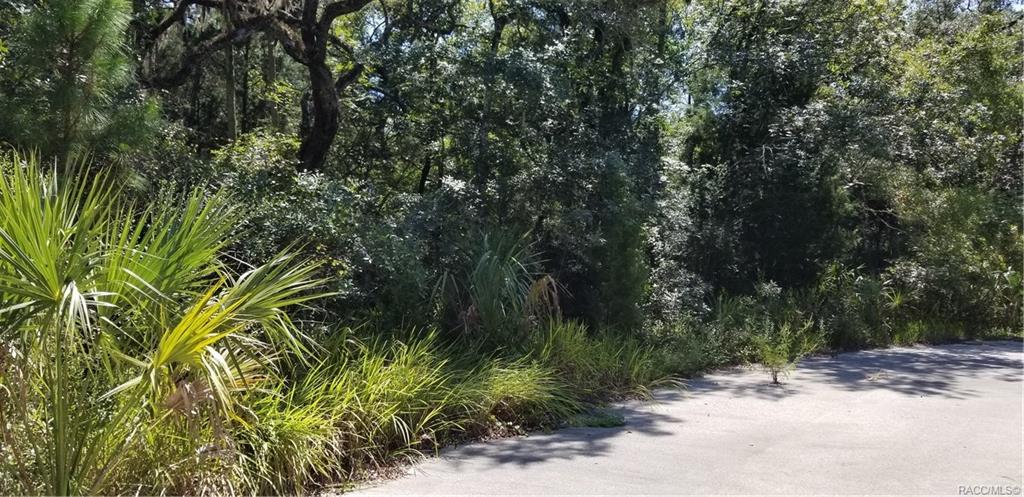 home for sale at 10240 W Ozello Trail, Crystal River, FL 34429 in Citrus County