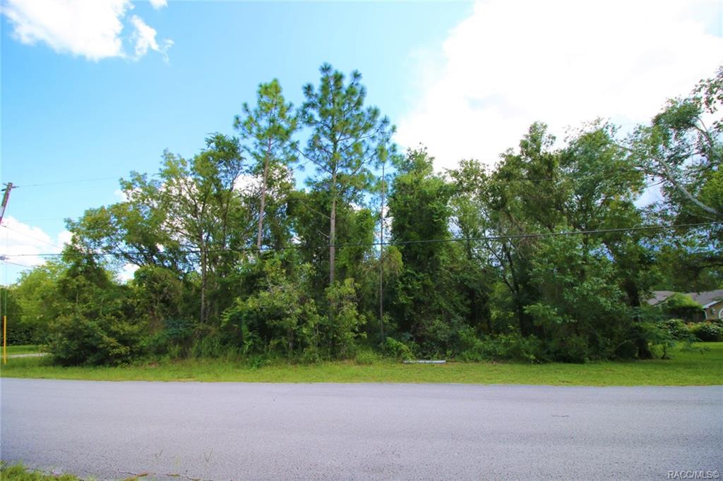 home for sale at 1634 E Cleveland Street, Hernando, FL 34442 in Citrus Hills - Presidential Estates