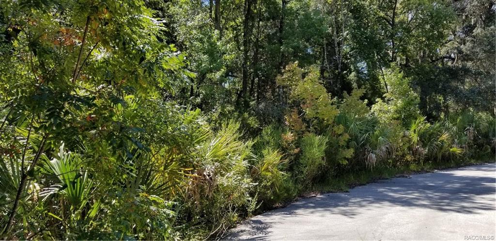 home for sale at 10240 W Ozello Trail, Crystal River, FL 34429 in Citrus County