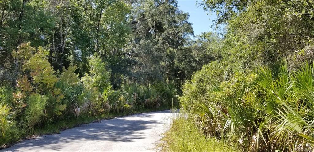 home for sale at 10240 W Ozello Trail, Crystal River, FL 34429 in Citrus County