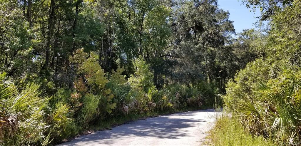 home for sale at 10240 W Ozello Trail, Crystal River, FL 34429 in Citrus County