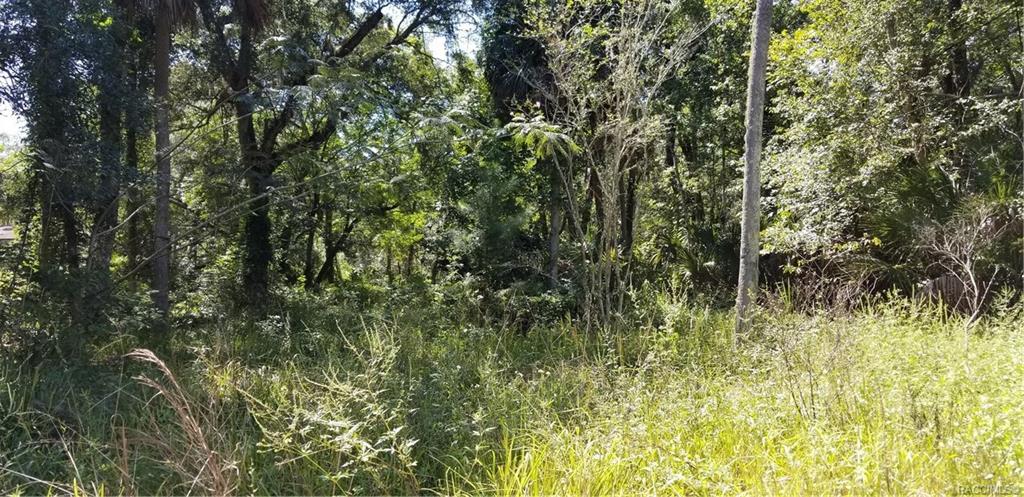 home for sale at 10240 W Ozello Trail, Crystal River, FL 34429 in Citrus County