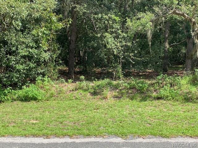 home for sale at 283 W National Street, Hernando, FL 34442 in Citrus Hills