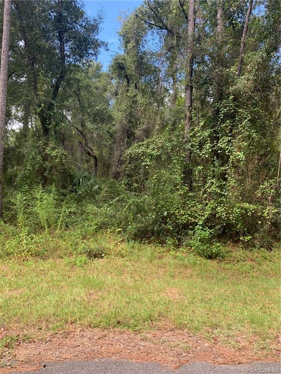 home for sale at 921, 918, 922, 926 E Abend Drive, Citrus Springs, FL 34434 in Citrus Springs