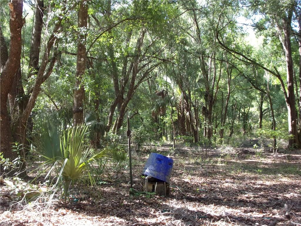 home for sale at 10080 E Gobbler Drive, Floral City, FL 34436 in Withlapopka Island