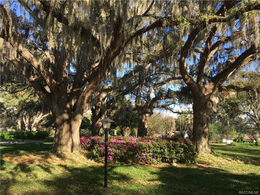 home for sale at 1571 N Endicott Point, Crystal River, FL 34429 in Meadowcrest - Fairmont Village