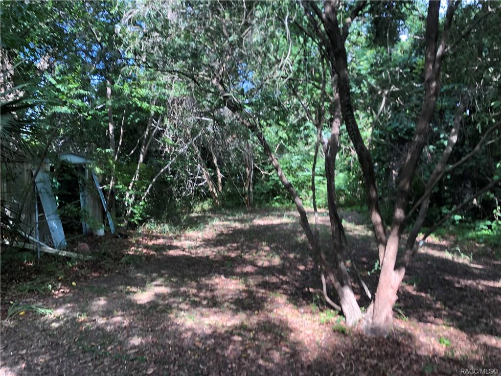 home for sale at 8560 E Marvin Street, Floral City, FL 34436 in Citrus County
