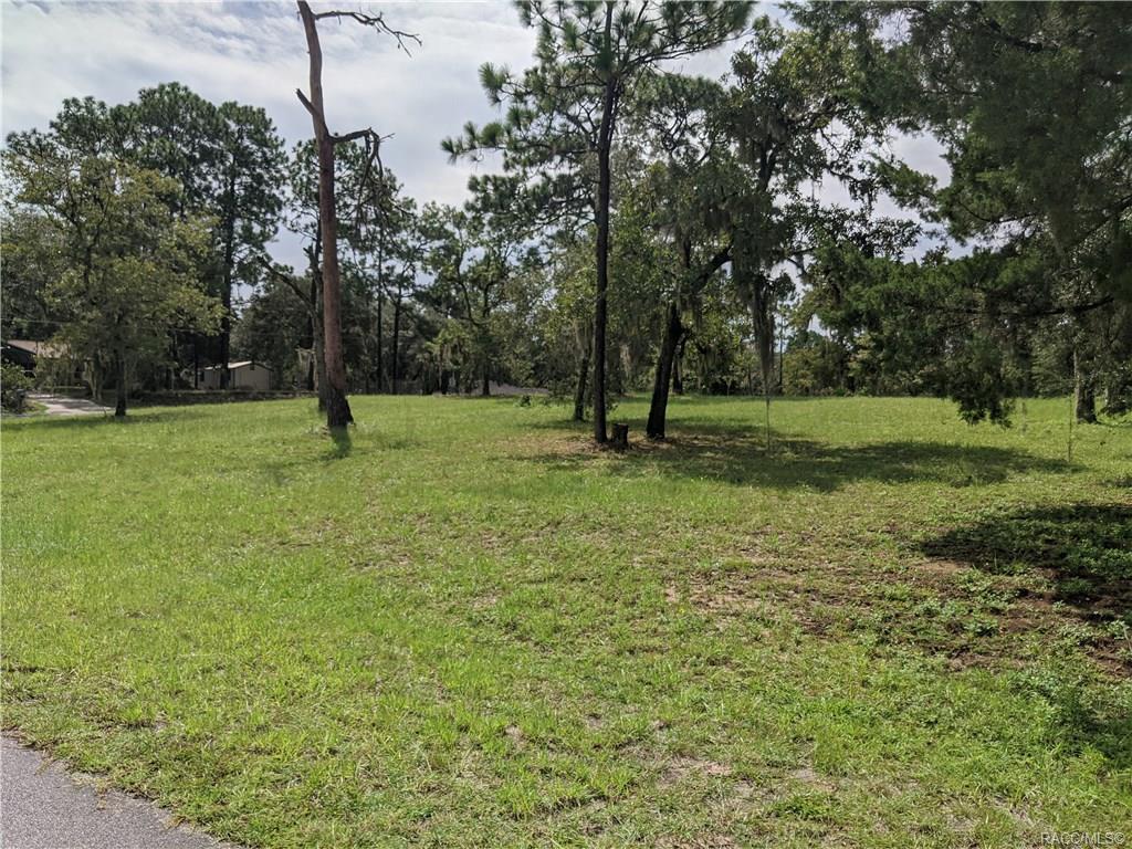 home for sale at 1980 E Virts Court, Hernando, FL 34442 in Hercala Acres