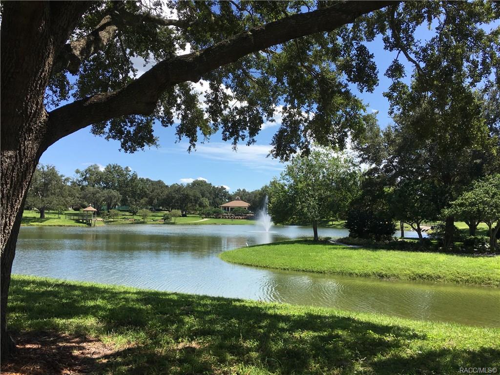 home for sale at 1571 N Endicott Point, Crystal River, FL 34429 in Meadowcrest - Fairmont Village