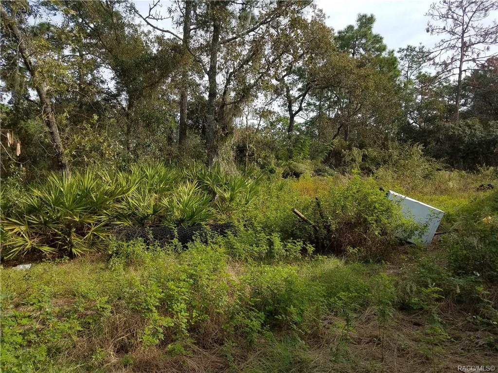 home for sale at 5515 W State Street, Homosassa, FL 34446 in Oak Forest Estates