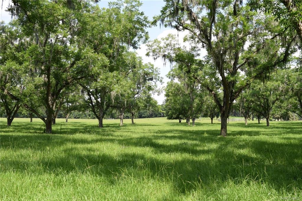 home for sale at 000 Price Road, Hawthorne, FL 32640 in Putnam County