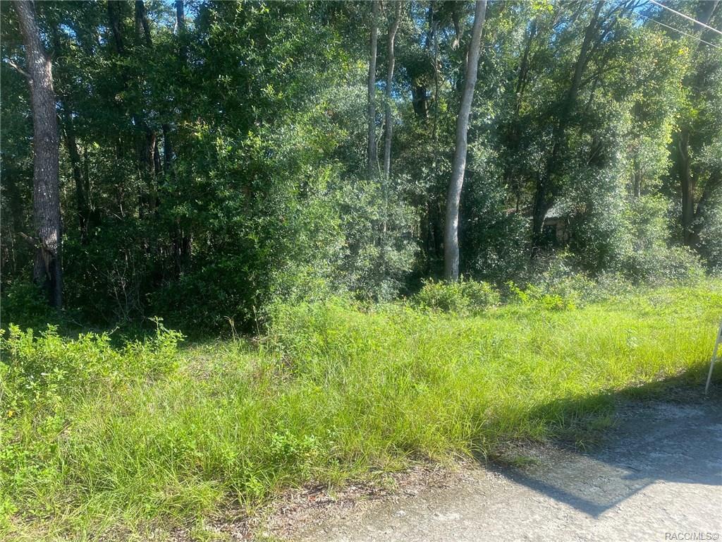 home for sale at Lot 112 St Benedict Drive, Dunnellon, FL 34432 in Dunnellon Heights