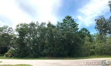 home for sale at 5 Pteris Court, Homosassa, FL 34446 in Sugarmill Woods - Oak Village