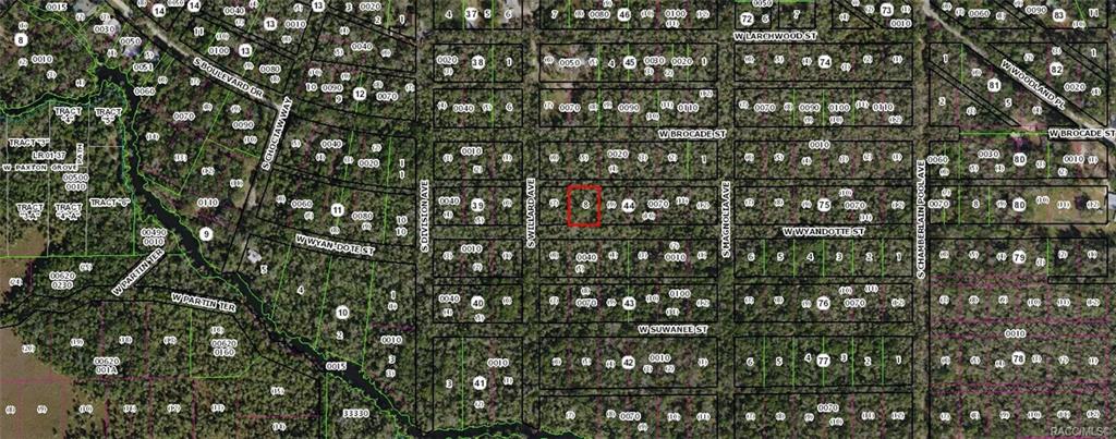 home for sale at 10855 W Wyandotte Street, Homosassa, FL 34448 in Town of Homosassa