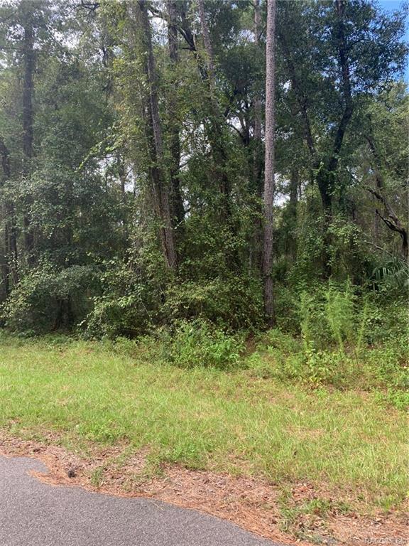 home for sale at 921, 918, 922, 926 E Abend Drive, Citrus Springs, FL 34434 in Citrus Springs