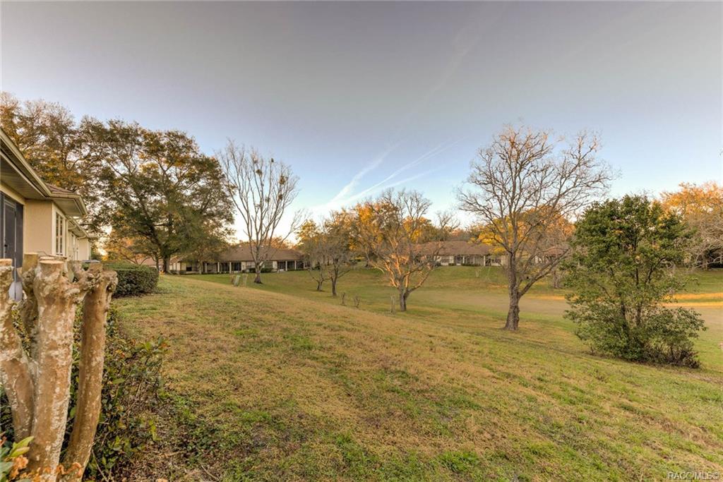 home for sale at 5971 W Dedham Trail, Crystal River, FL 34429 in Meadowcrest - Arbor Court