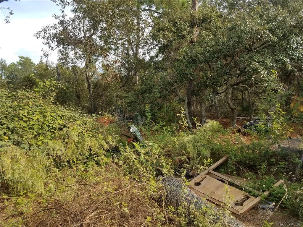 home for sale at 5515 W State Street, Homosassa, FL 34446 in Oak Forest Estates