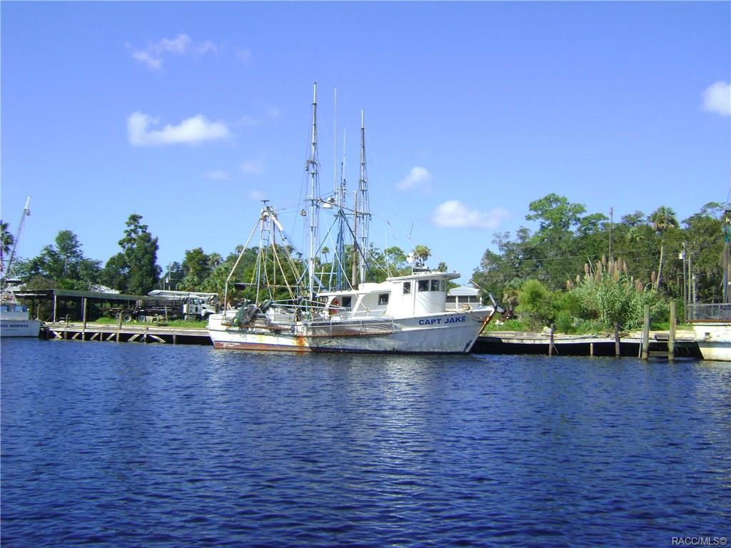 home for sale at 1571 N Endicott Point, Crystal River, FL 34429 in Meadowcrest - Fairmont Village