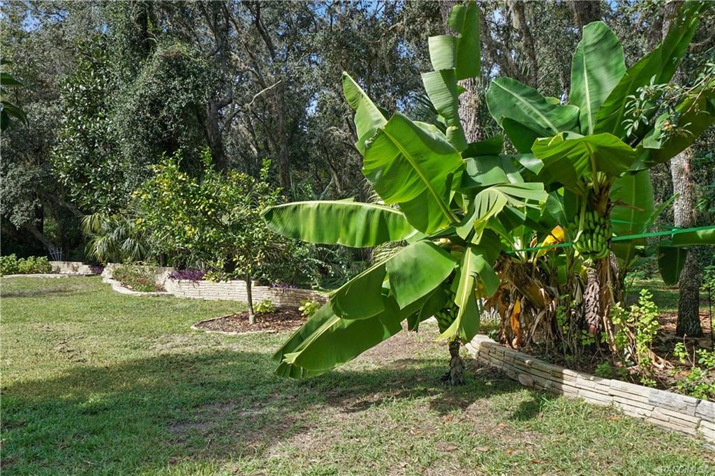 home for sale at 303 W Massachusetts Street, Hernando, FL 34442 in Citrus Hills