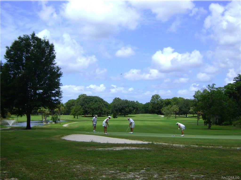 home for sale at 1571 N Endicott Point, Crystal River, FL 34429 in Meadowcrest - Fairmont Village