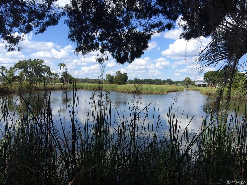 home for sale at 1571 N Endicott Point, Crystal River, FL 34429 in Meadowcrest - Fairmont Village