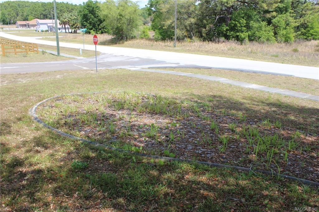 home for sale at 2374 W Apricot Drive, Beverly Hills, FL 34465 in Pine Ridge