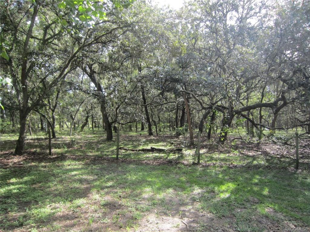 home for sale at 2919 S Rose Avenue, Inverness, FL 34450 in Seven Lakes Park
