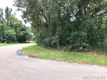 home for sale at 5 Pteris Court, Homosassa, FL 34446 in Sugarmill Woods - Oak Village