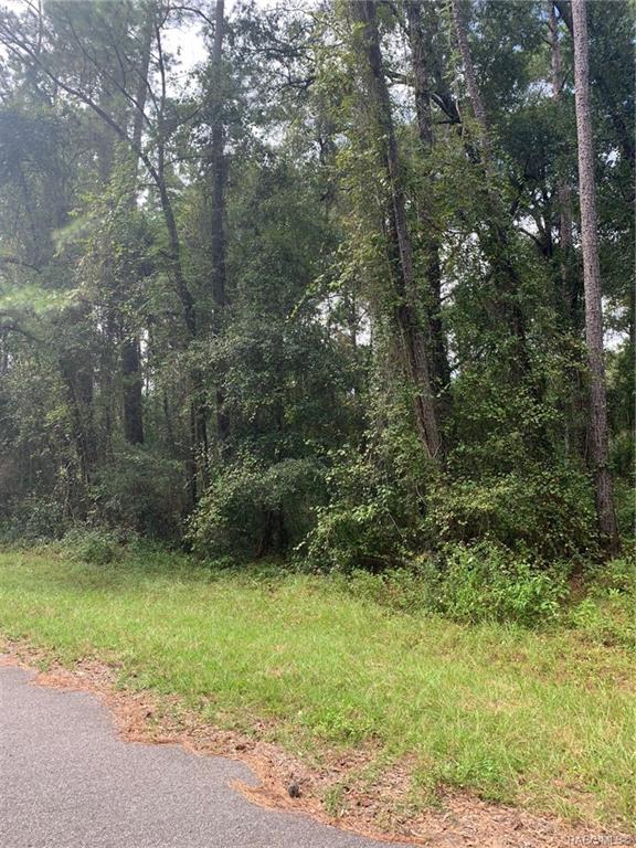 home for sale at 921, 918, 922, 926 E Abend Drive, Citrus Springs, FL 34434 in Citrus Springs