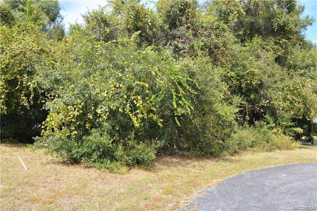 home for sale at 2665 E Maidstone Court, Hernando, FL 34442 in Citrus Hills - Canterbury Lake Estates