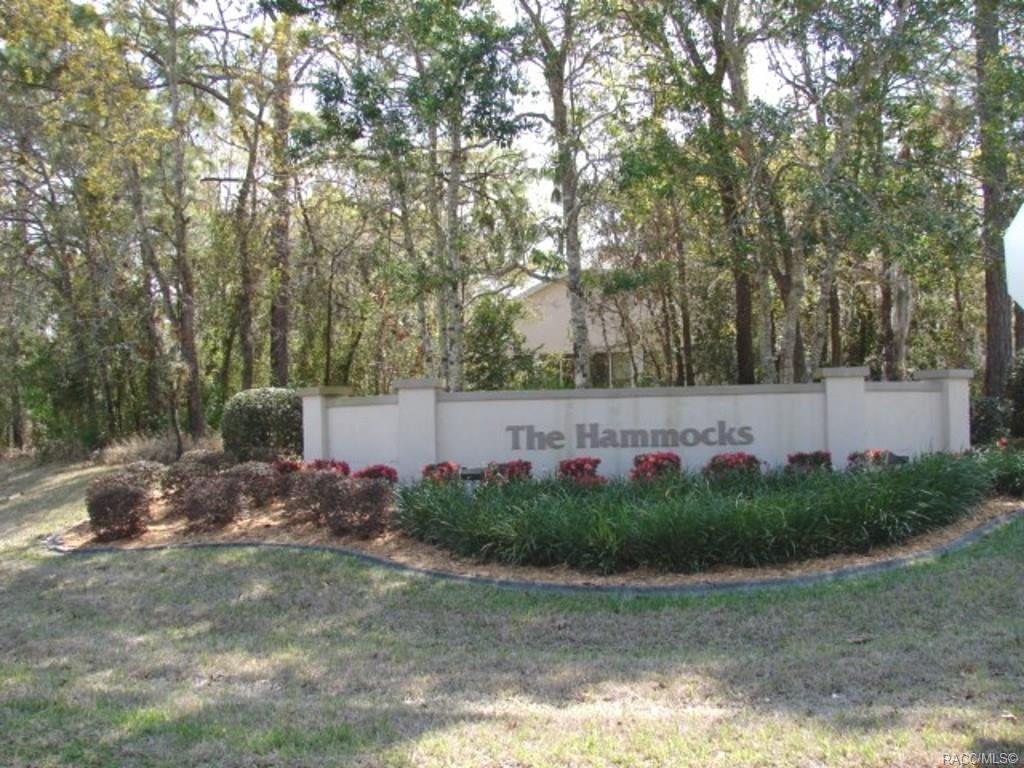 home for sale at 11 Byrsonima Loop W, Homosassa, FL 34446 in Sugarmill Woods - The Hammocks