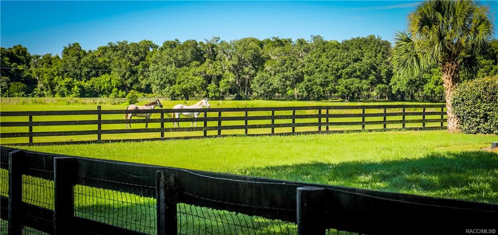home for sale at 10218 E Trails End Road, Floral City, FL 34436 in Farms