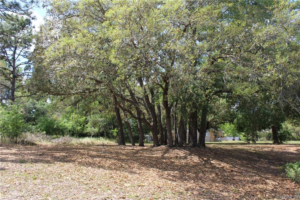 home for sale at 2374 W Apricot Drive, Beverly Hills, FL 34465 in Pine Ridge
