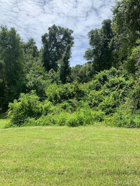 home for sale at 3475 N Canterbury Lake Drive, Hernando, FL 34442 in Citrus Hills - Canterbury Lake Estates