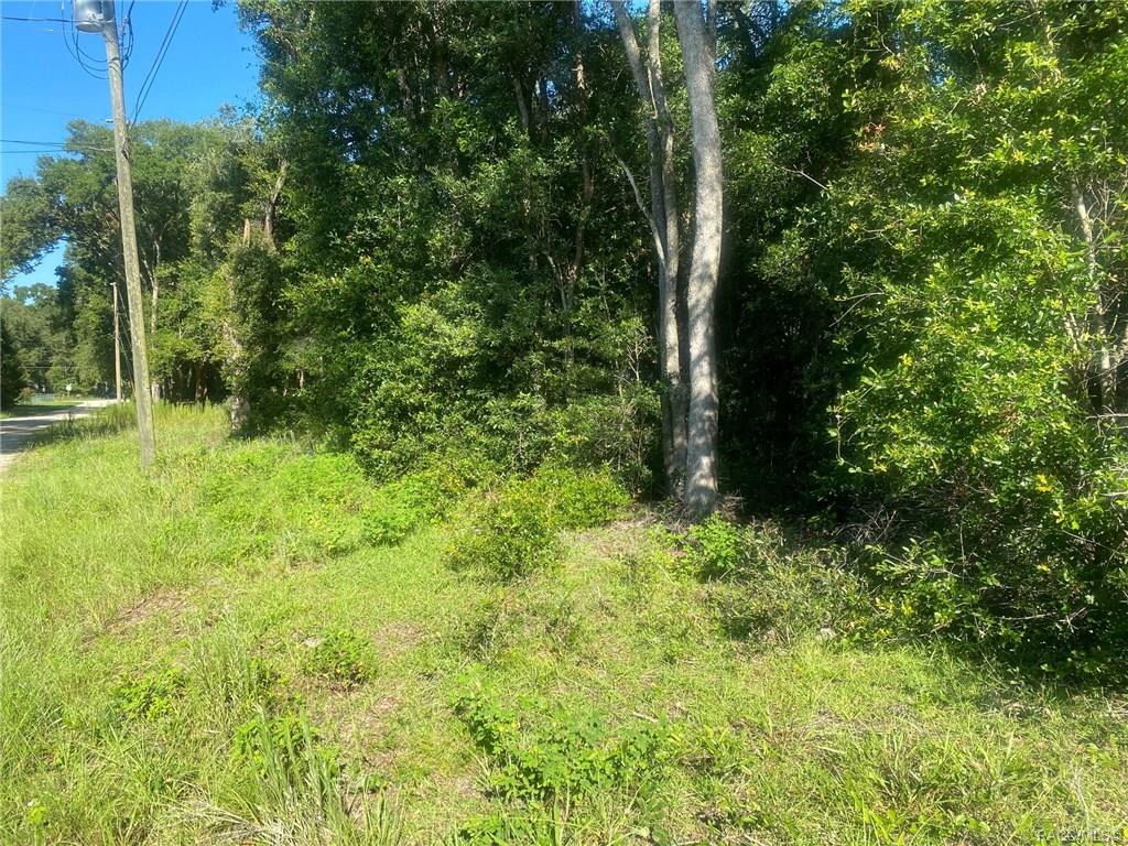 home for sale at Lot 112 St Benedict Drive, Dunnellon, FL 34432 in Dunnellon Heights