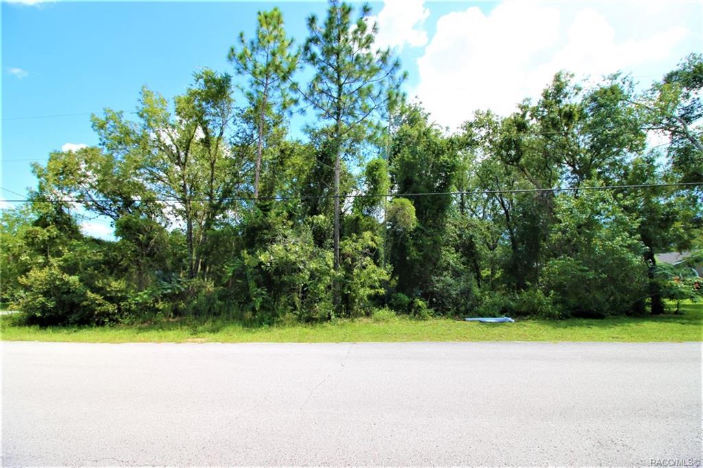 home for sale at 1634 E Cleveland Street, Hernando, FL 34442 in Citrus Hills - Presidential Estates