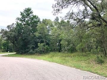 home for sale at 5 Pteris Court, Homosassa, FL 34446 in Sugarmill Woods - Oak Village