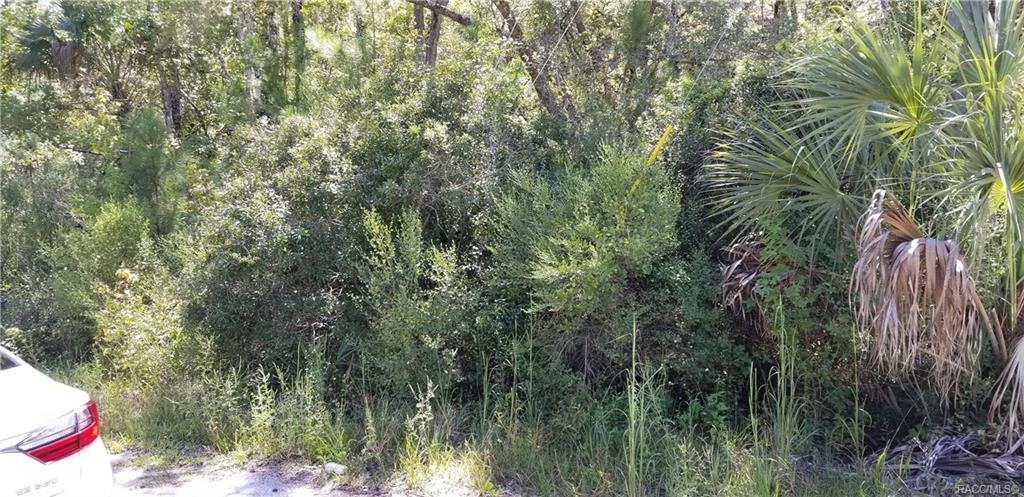 home for sale at 10240 W Ozello Trail, Crystal River, FL 34429 in Citrus County