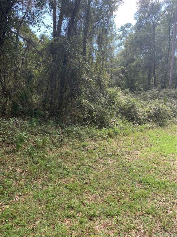 home for sale at 921, 918, 922, 926 E Abend Drive, Citrus Springs, FL 34434 in Citrus Springs