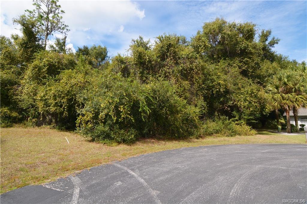 home for sale at 2665 E Maidstone Court, Hernando, FL 34442 in Citrus Hills - Canterbury Lake Estates