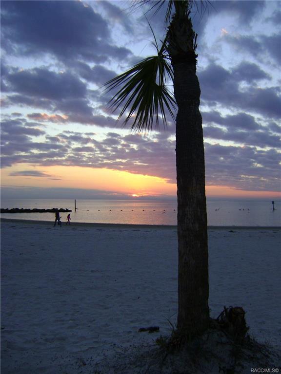 home for sale at 1571 N Endicott Point, Crystal River, FL 34429 in Meadowcrest - Fairmont Village