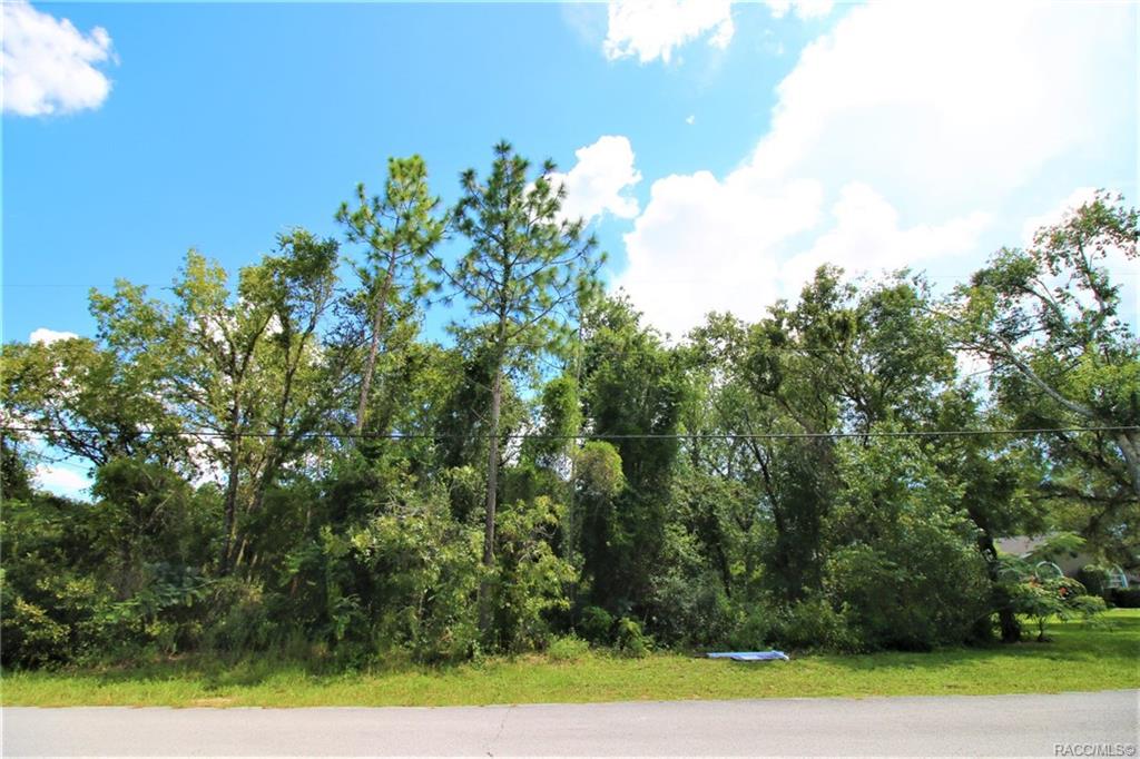 home for sale at 1634 E Cleveland Street, Hernando, FL 34442 in Citrus Hills - Presidential Estates