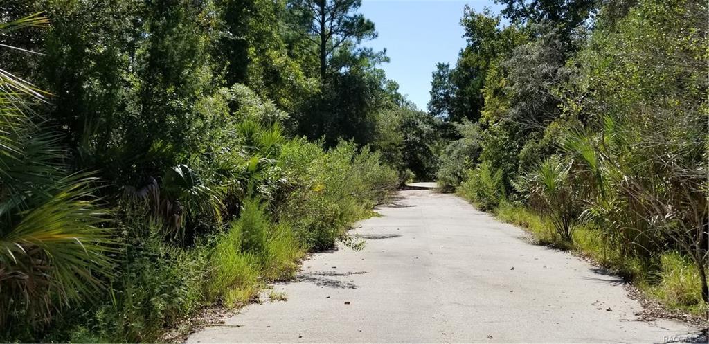 home for sale at 10240 W Ozello Trail, Crystal River, FL 34429 in Citrus County