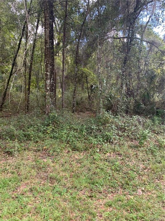 home for sale at 921, 918, 922, 926 E Abend Drive, Citrus Springs, FL 34434 in Citrus Springs