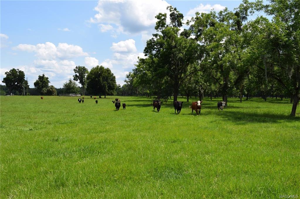 home for sale at 000 Price Road, Hawthorne, FL 32640 in Putnam County