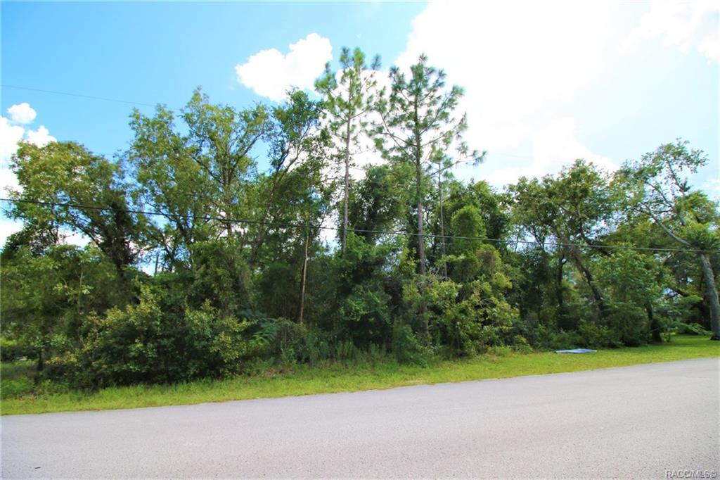 home for sale at 1634 E Cleveland Street, Hernando, FL 34442 in Citrus Hills - Presidential Estates