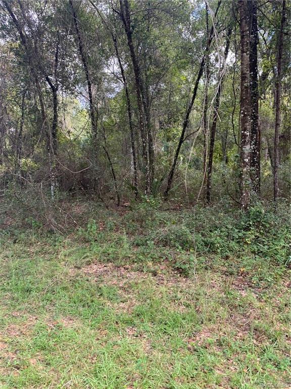 home for sale at 921, 918, 922, 926 E Abend Drive, Citrus Springs, FL 34434 in Citrus Springs