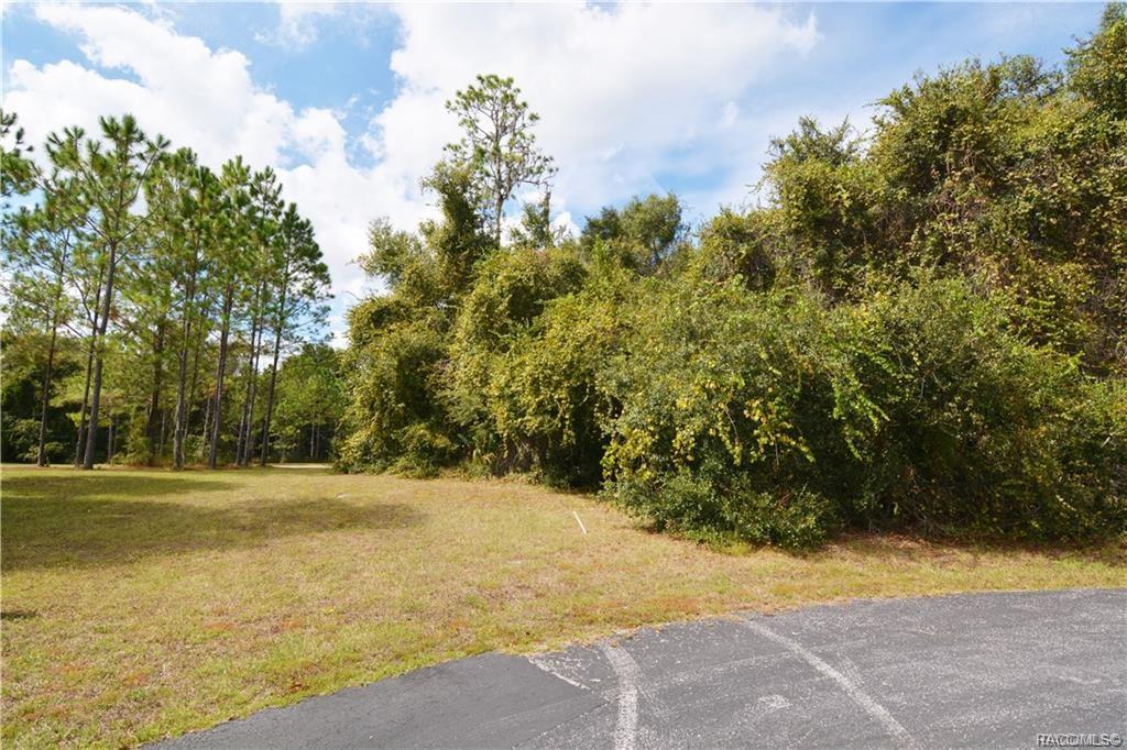 home for sale at 2665 E Maidstone Court, Hernando, FL 34442 in Citrus Hills - Canterbury Lake Estates